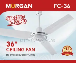 Ceiling Fan (Long Blade)