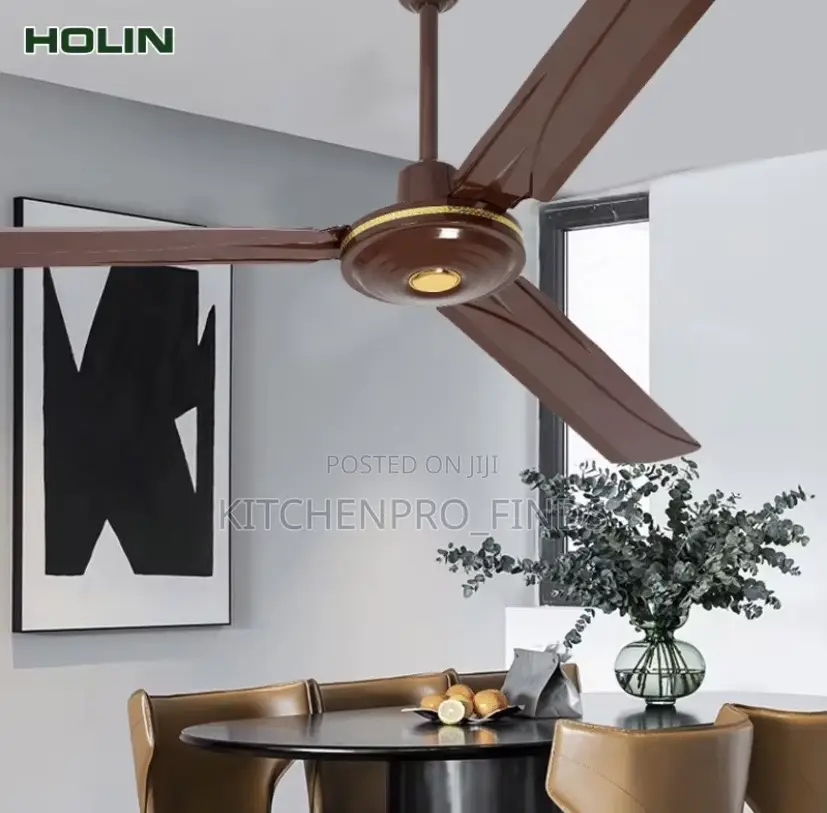 Ceiling Fan (Long Blade)