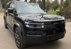 New BYD Leopard 7 2025 Black