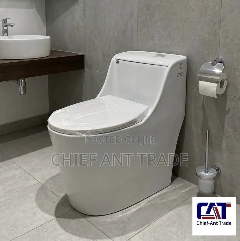 Egg Toilet Seat Wc Water Closet 8801
