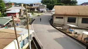 Dji Mavic Mini