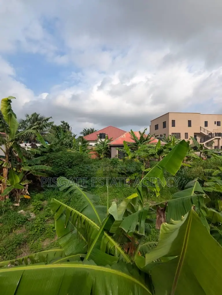 Registered Land at Ashongman