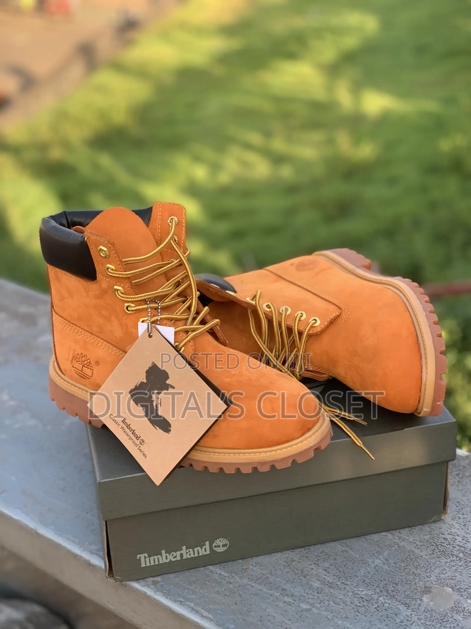 Original Timberland in Box