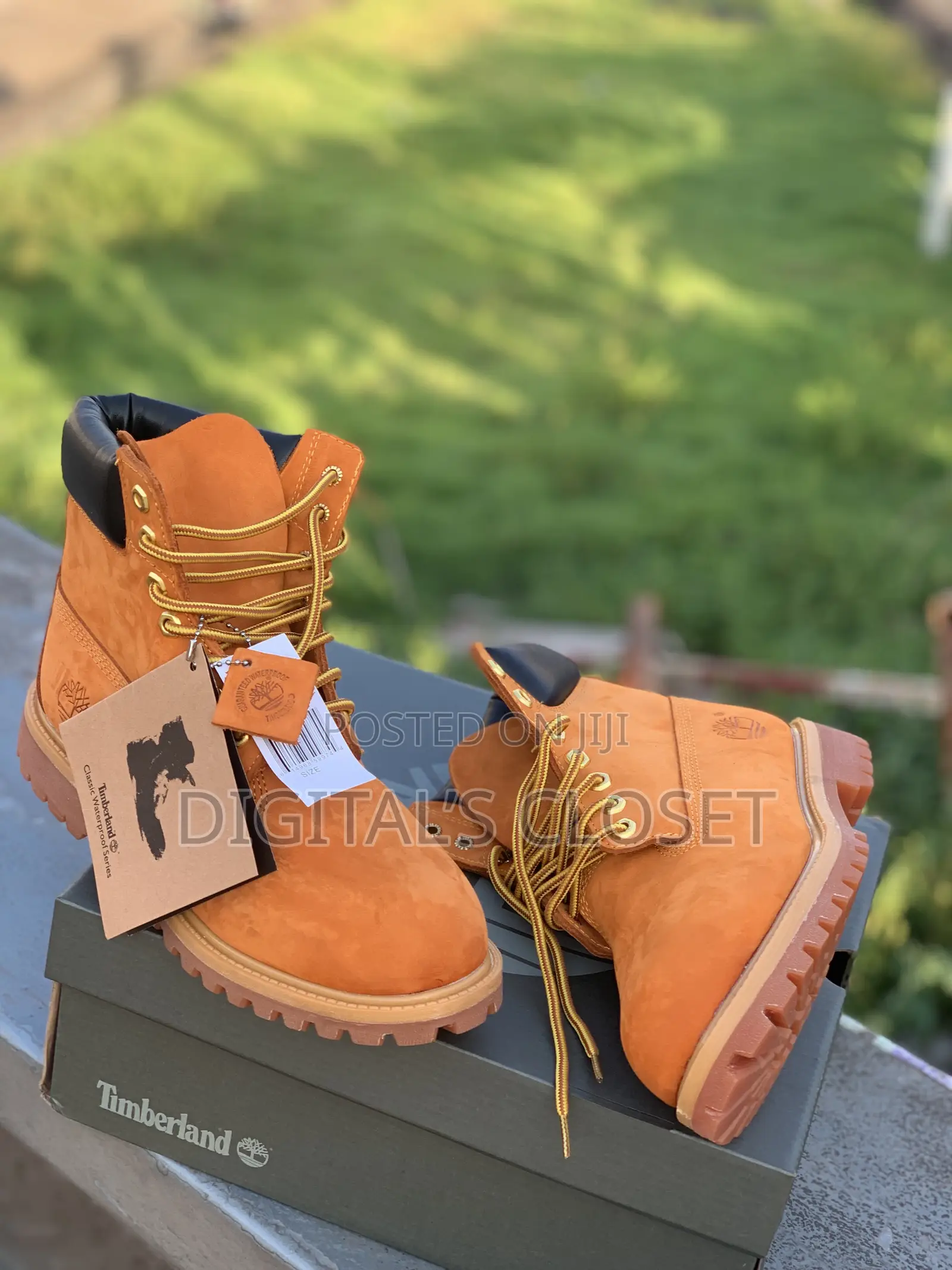 Original Timberland in Box