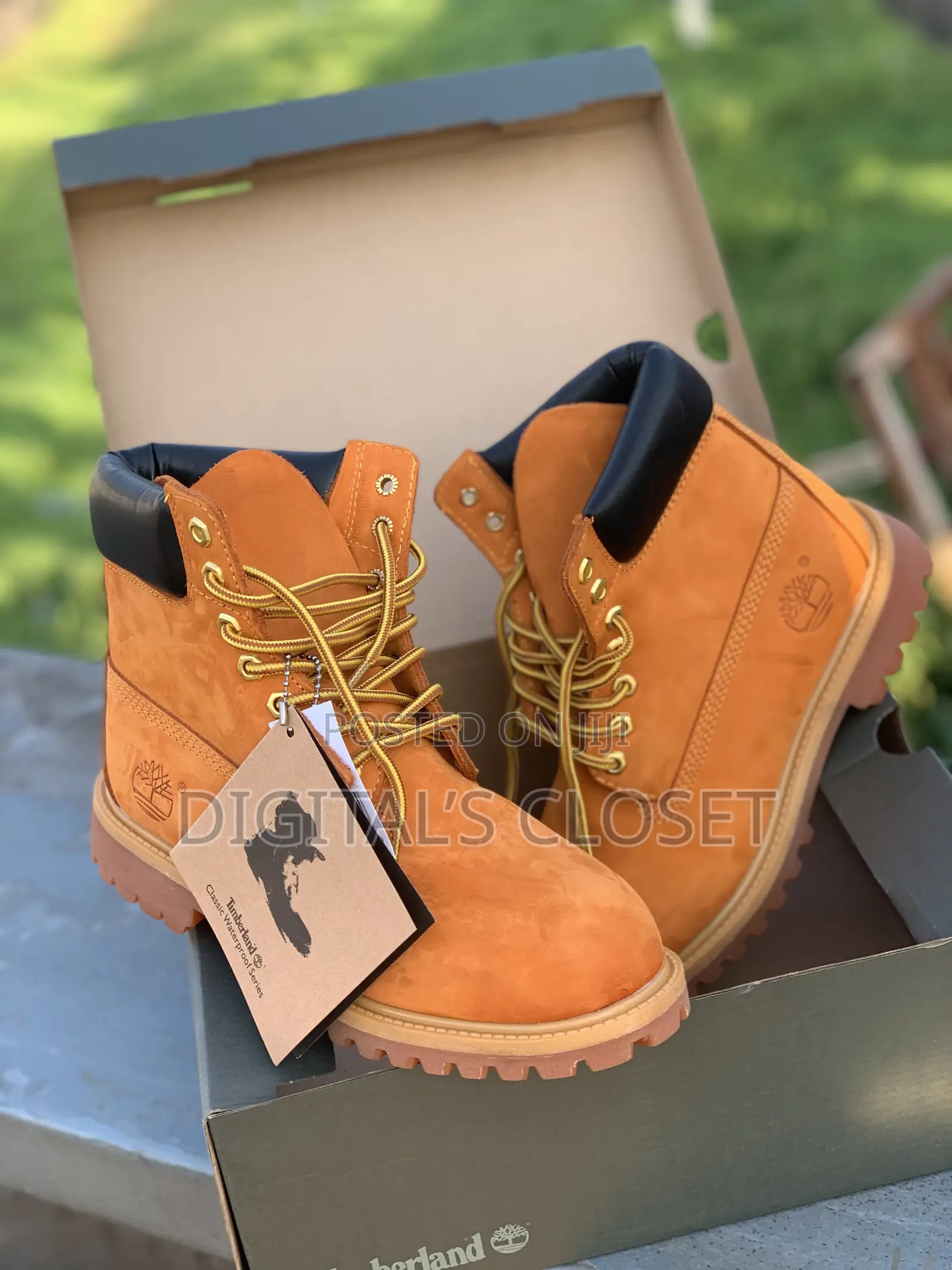 Original Timberland in Box