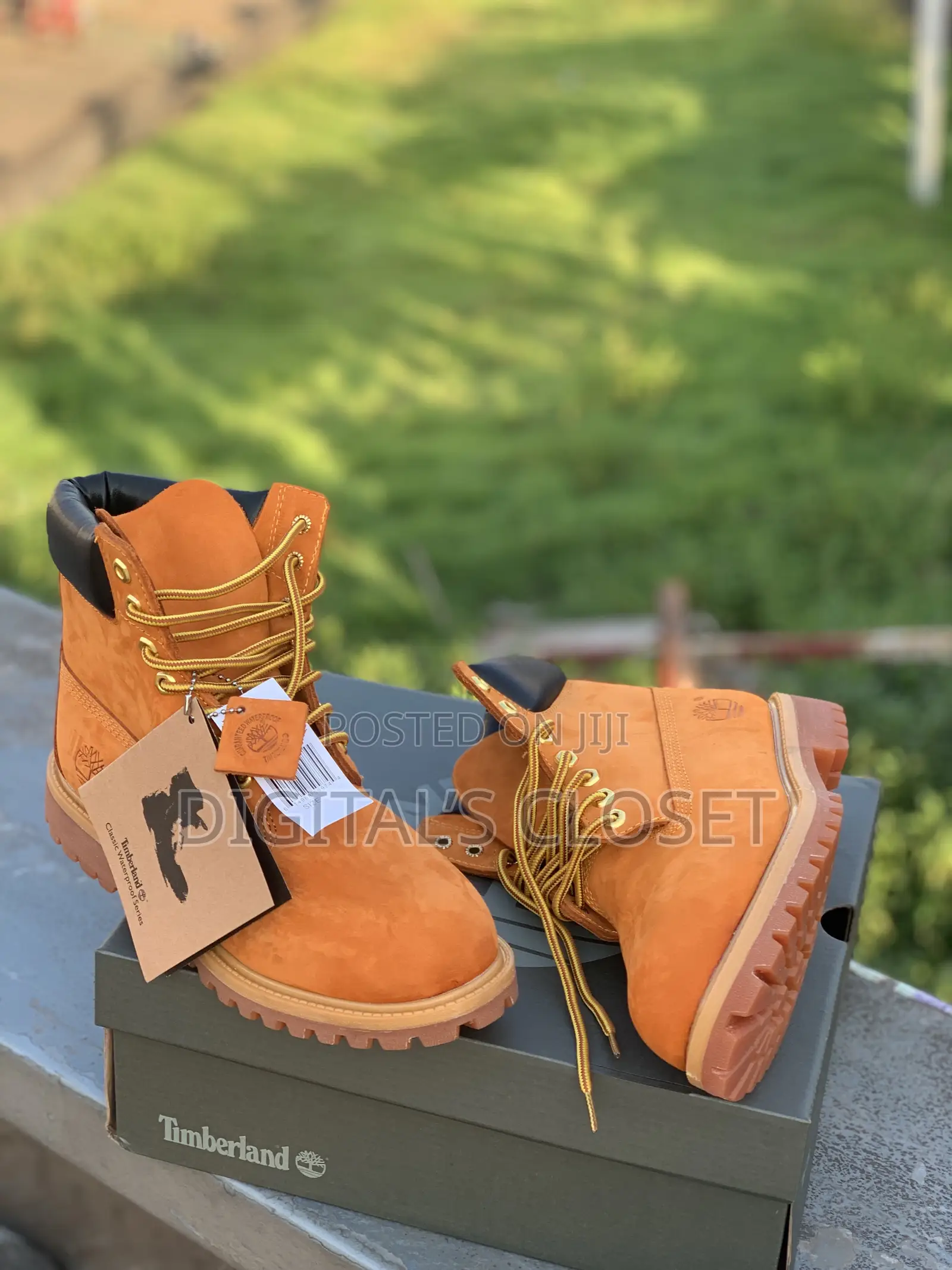 Original Timberland in Box