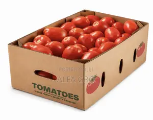 Tomatoes in Box(Free Delivery).