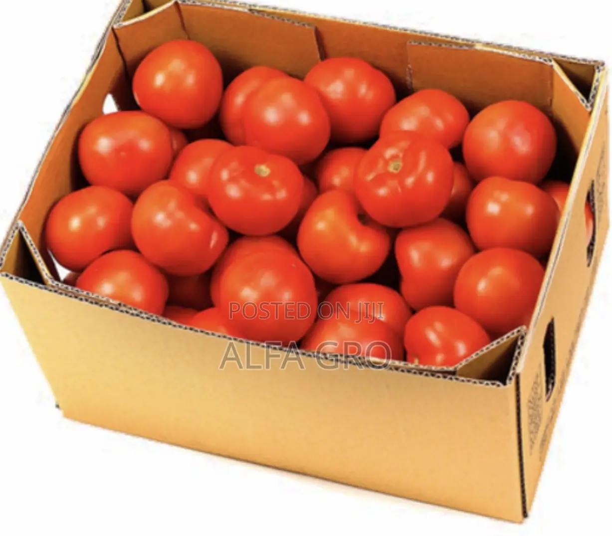 Tomatoes in Box(Free Delivery).
