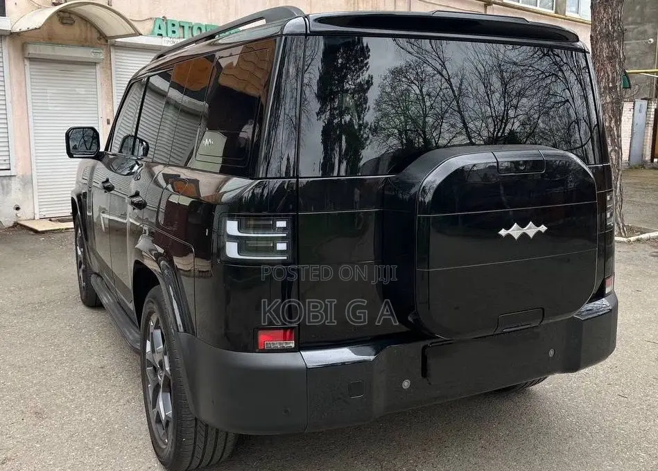 New BYD Leopard 7 2025 Black