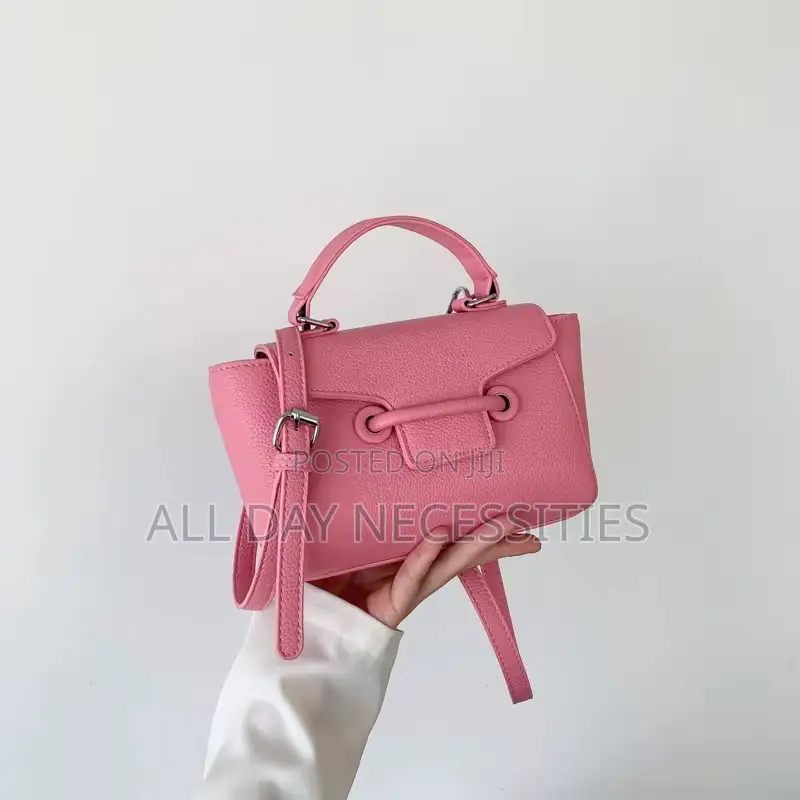 Ladies Handbag
