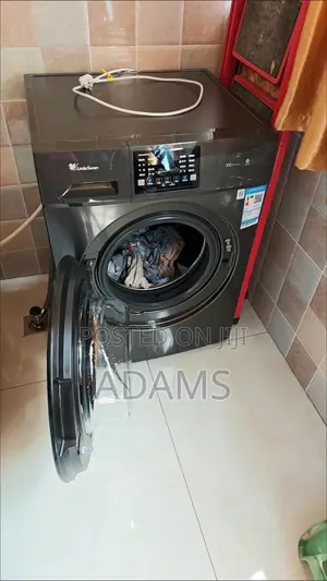Little Swan Front Loader Washing Machine
