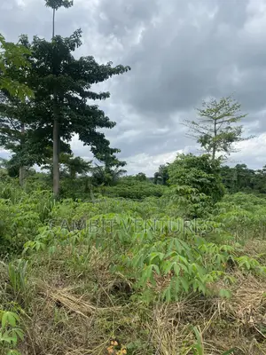 Farm Land at Krabo Kotaa 15 Minutes Drive From Adeso Junction