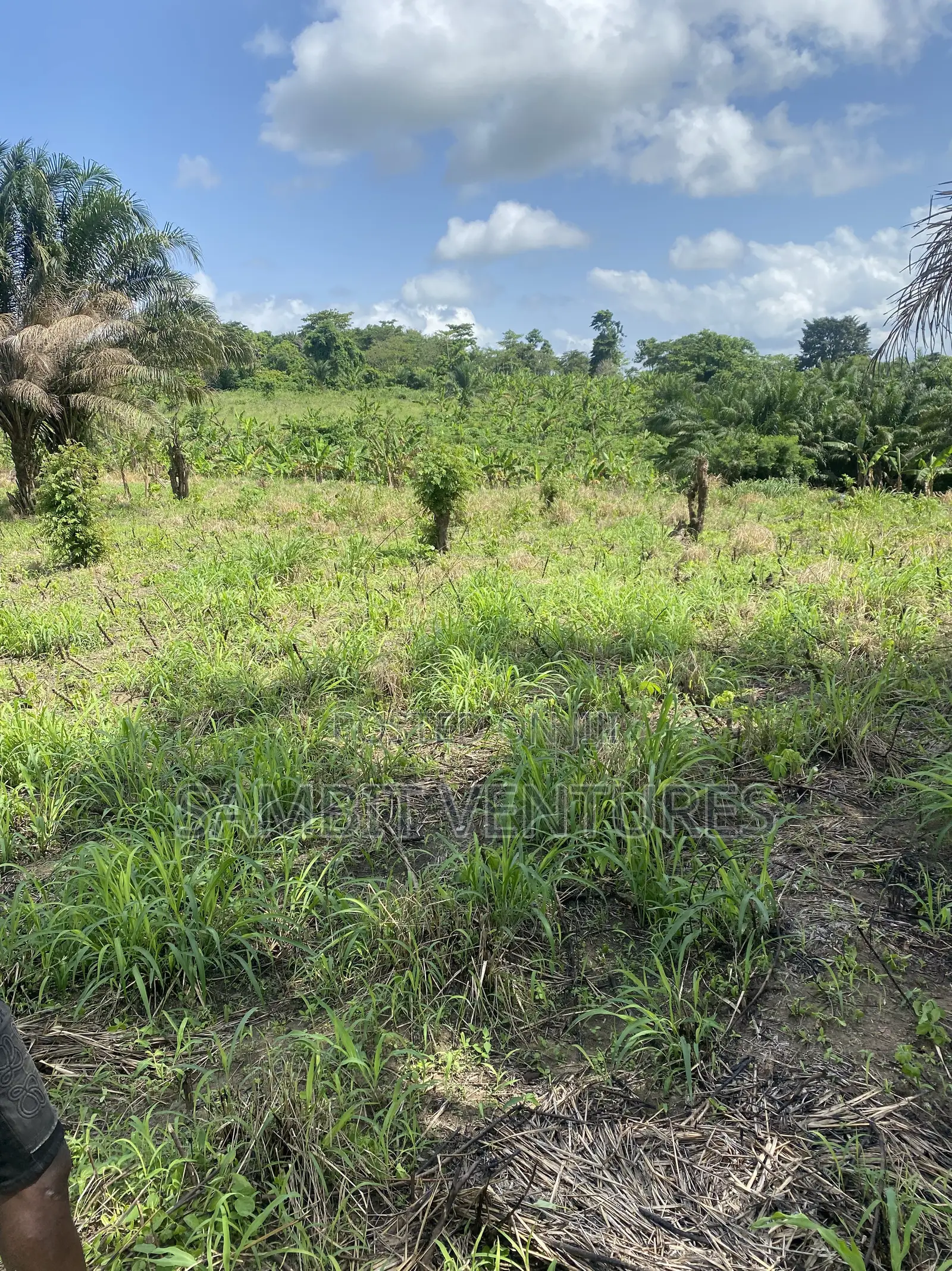 Farm Land at Krabo Kotaa 15 Minutes Drive From Adeso Junction
