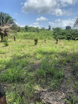 Farm Land at Krabo Kotaa 15 Minutes Drive From Adeso Junction