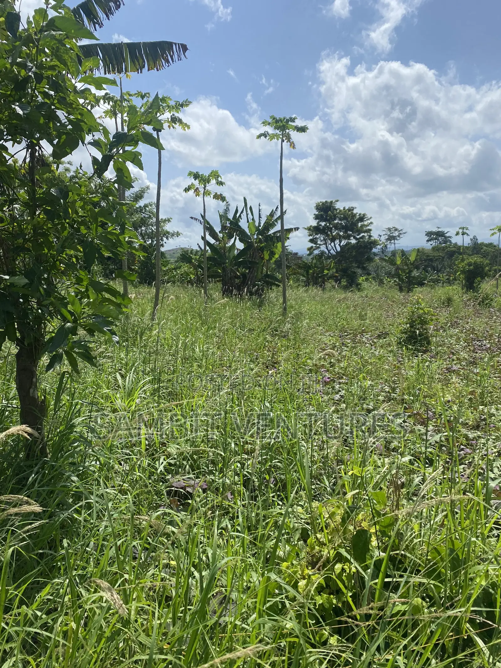 Farm Land at Krabo Kotaa 15 Minutes Drive From Adeso Junction