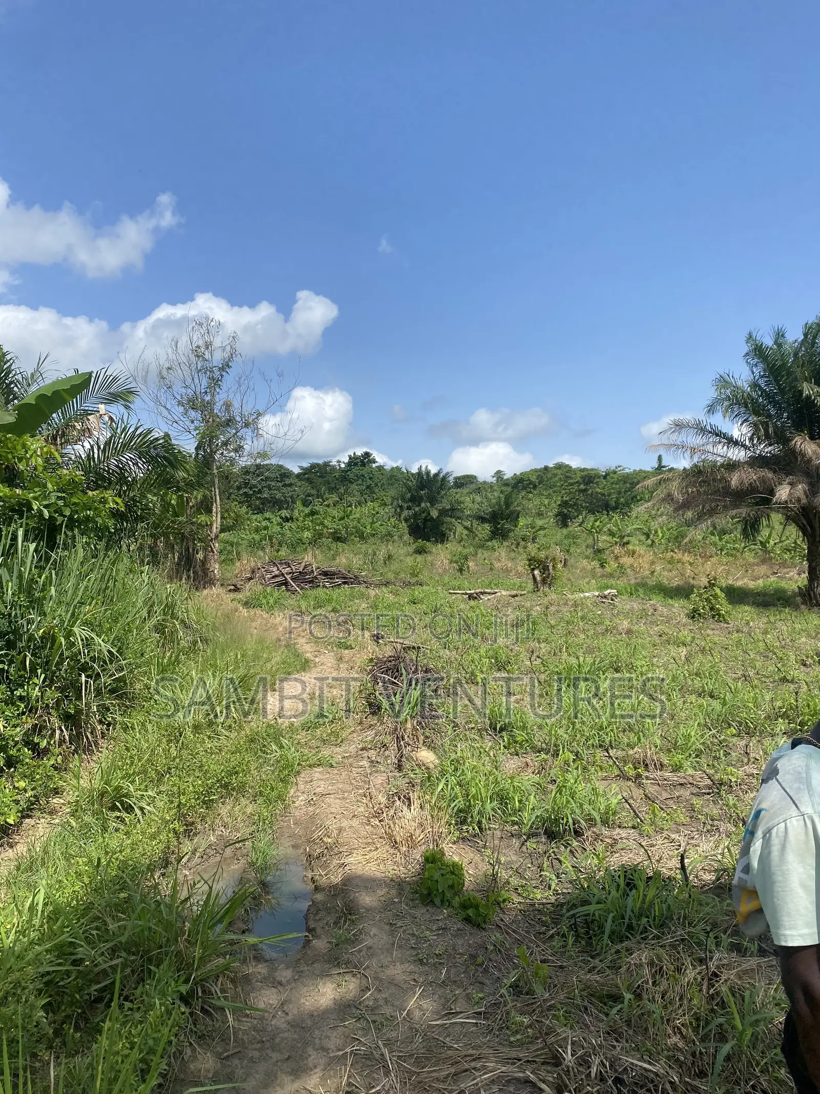 Farm Land at Krabo Kotaa 15 Minutes Drive From Adeso Junction