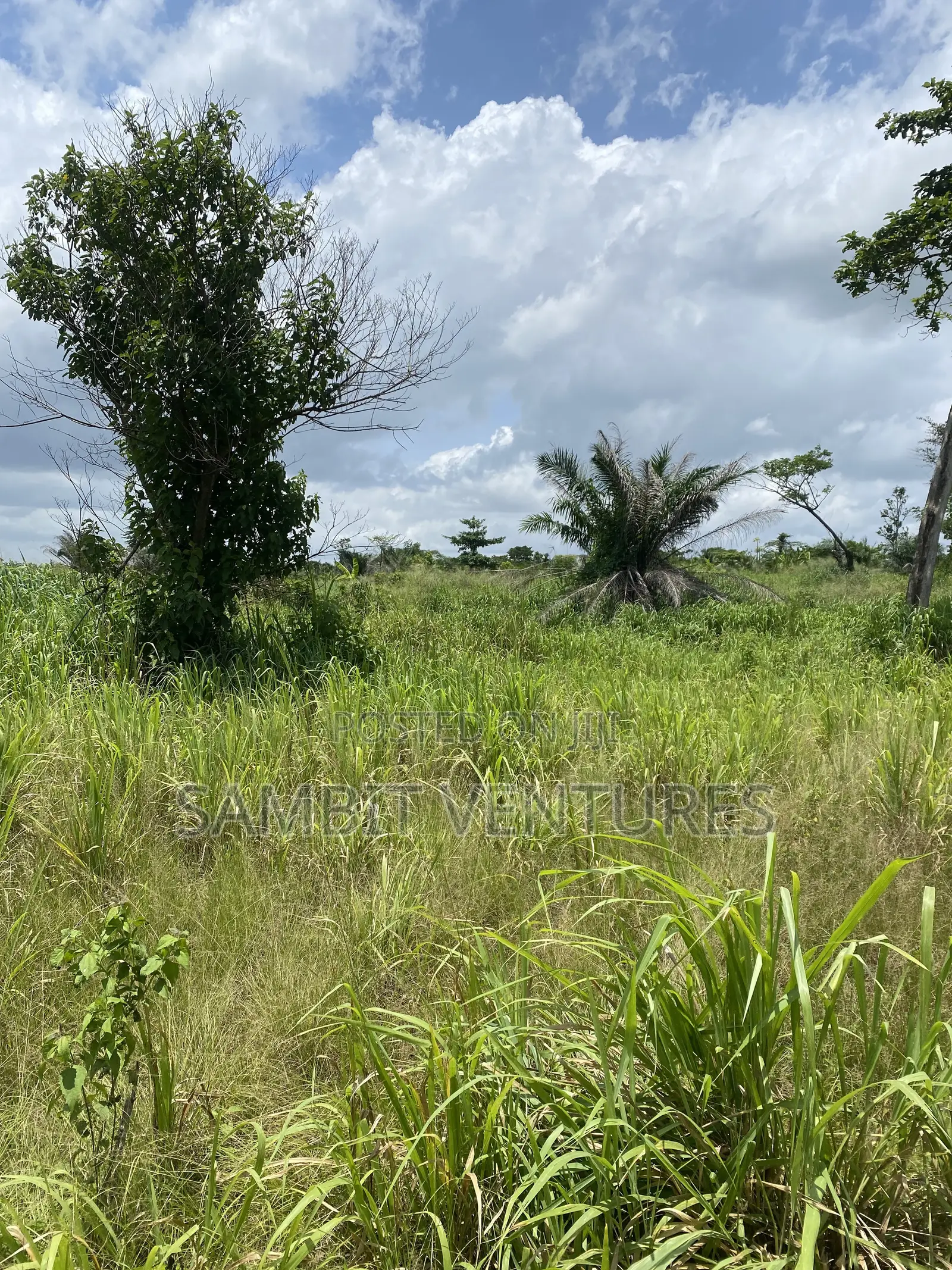 Farm Land at Krabo Kotaa 15 Minutes Drive From Adeso Junction
