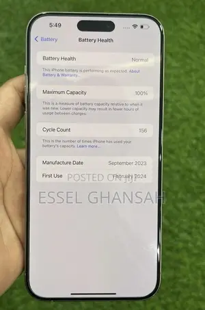 Apple iPhone 15 Pro Max 256 GB Silver