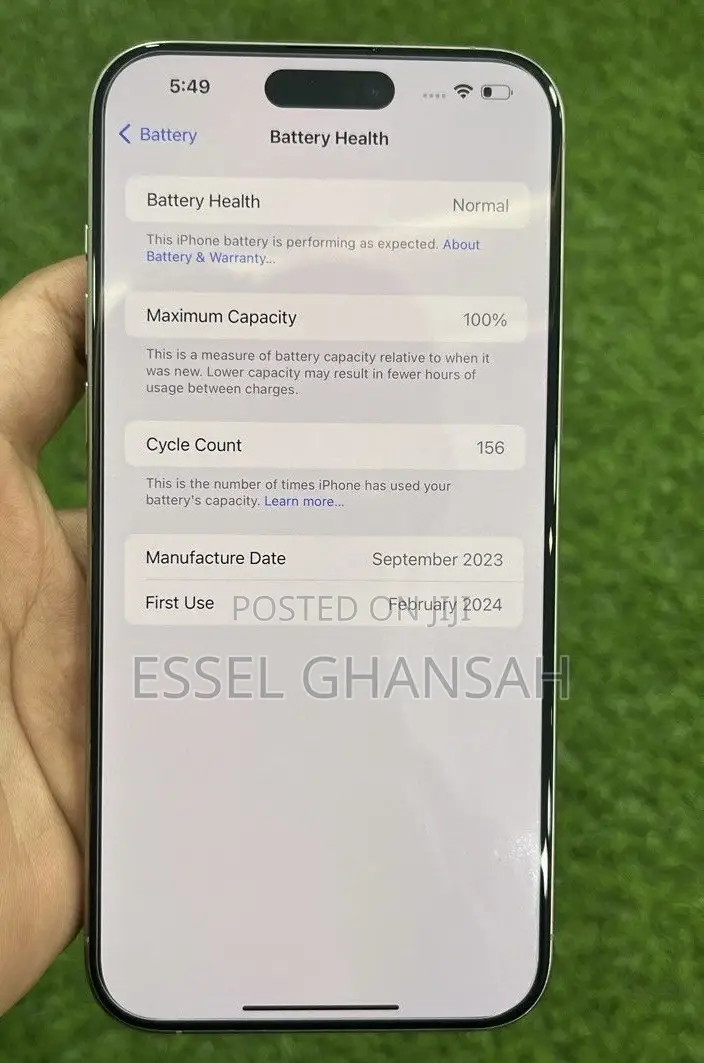 Apple iPhone 15 Pro Max 256 GB Silver