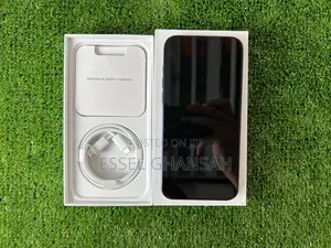 Apple iPhone 15 Pro Max 256 GB Silver