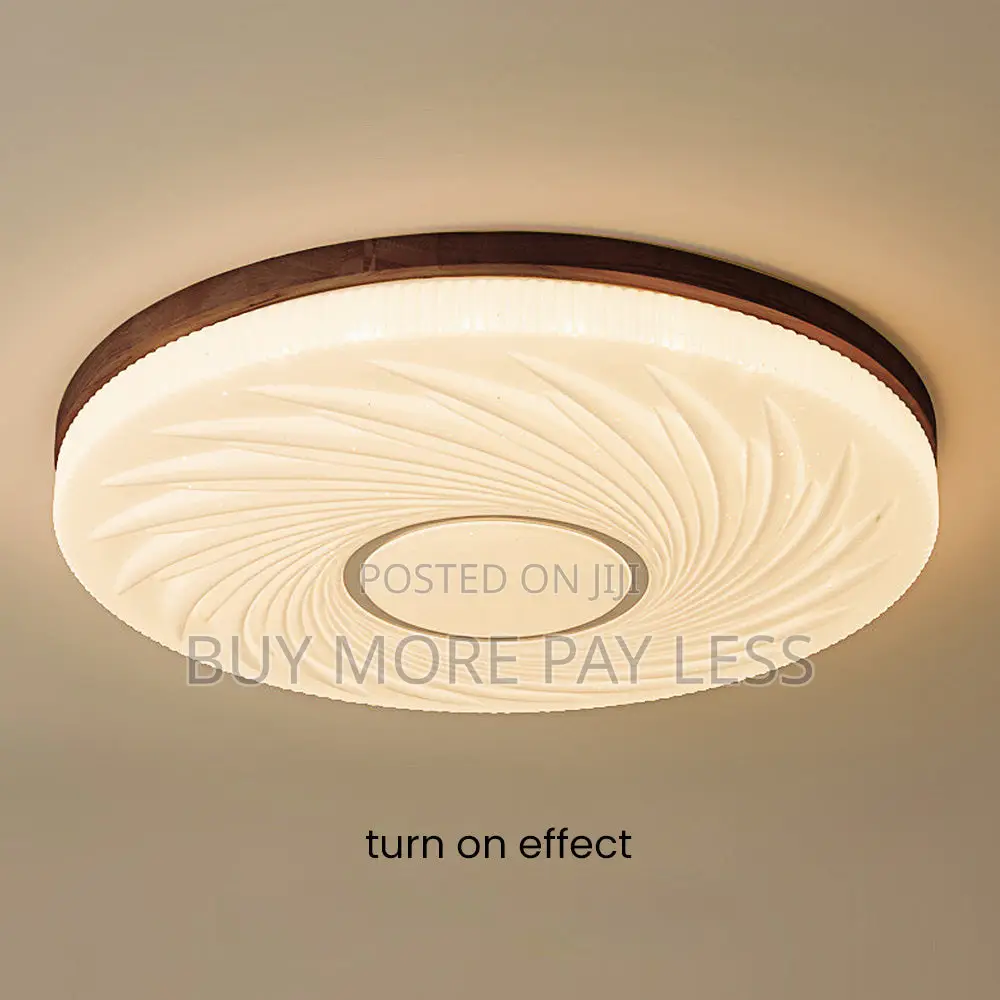 Modern Round Led Ceiling Light
