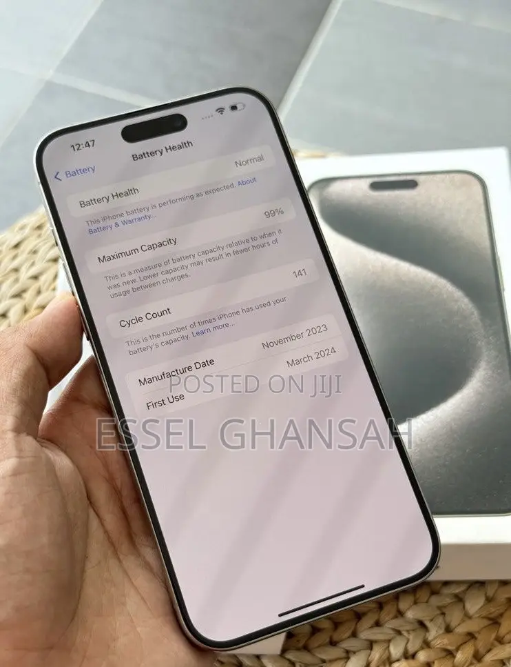 Apple iPhone 15 Pro Max 256 GB Silver