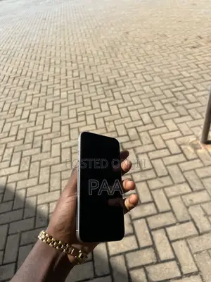 Apple iPhone 15 Pro Max 256 GB Gray