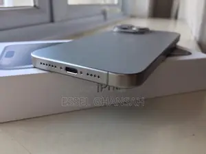 Apple iPhone 15 Pro Max 256 GB Silver