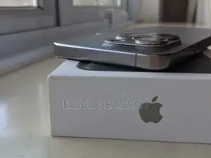 Apple iPhone 15 Pro Max 256 GB Silver
