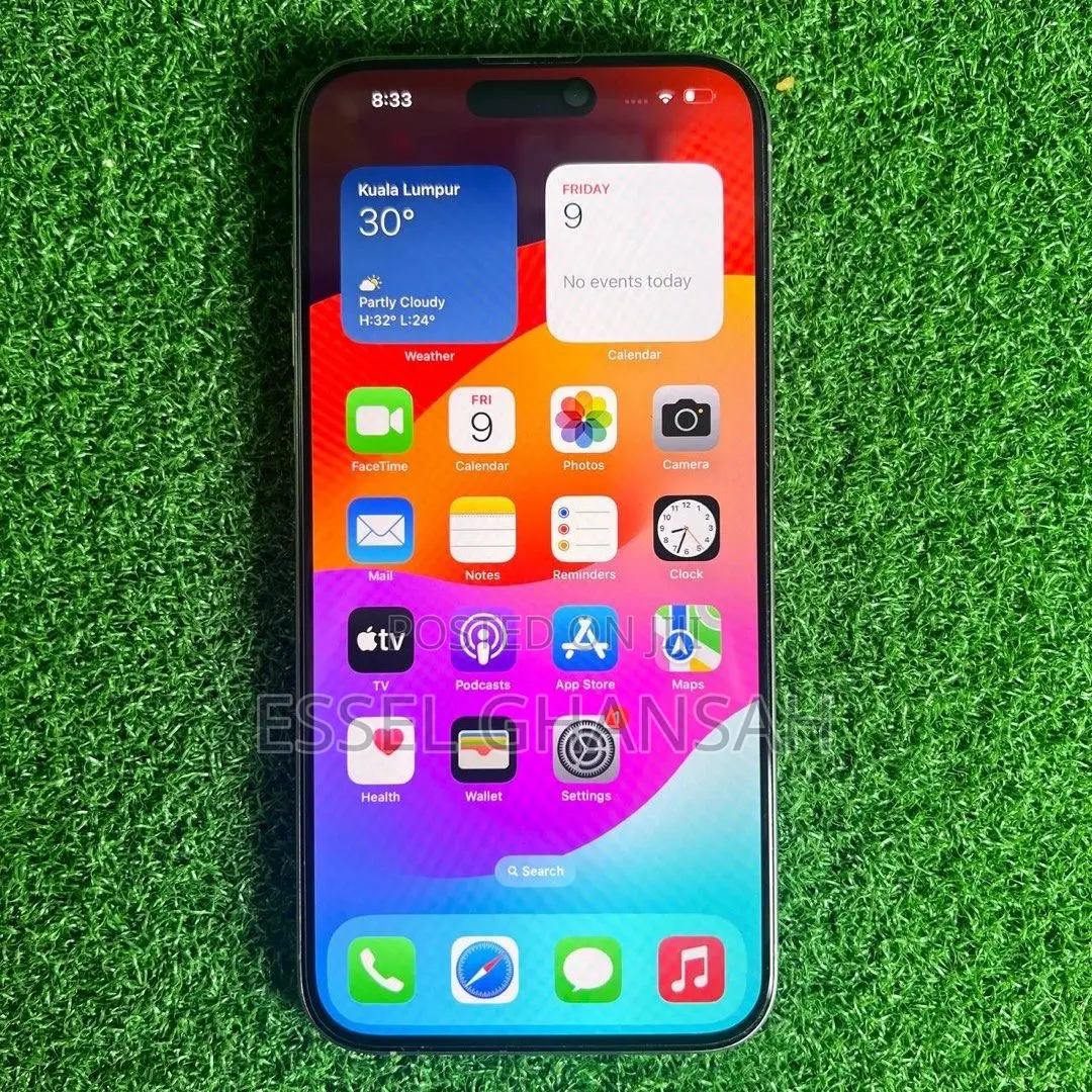 Apple iPhone 15 Pro Max 256 GB Silver