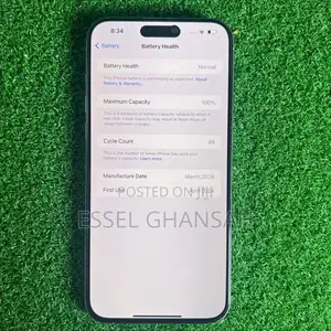 Apple iPhone 15 Pro Max 256 GB Silver