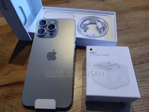 Apple iPhone 15 Pro Max 256 GB Silver