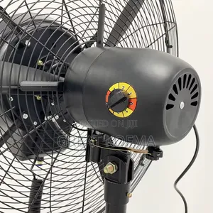 Fan 30 Inches