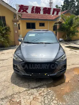 Hyundai Elantra Sport 2018 Gray