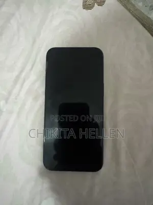 Apple iPhone 15 Pro Max 256 GB Black