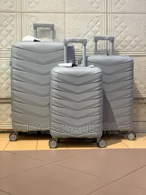 Ash Color Luggage