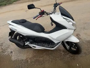 Honda Ignition 2024 White