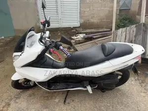 Honda Ignition 2024 White