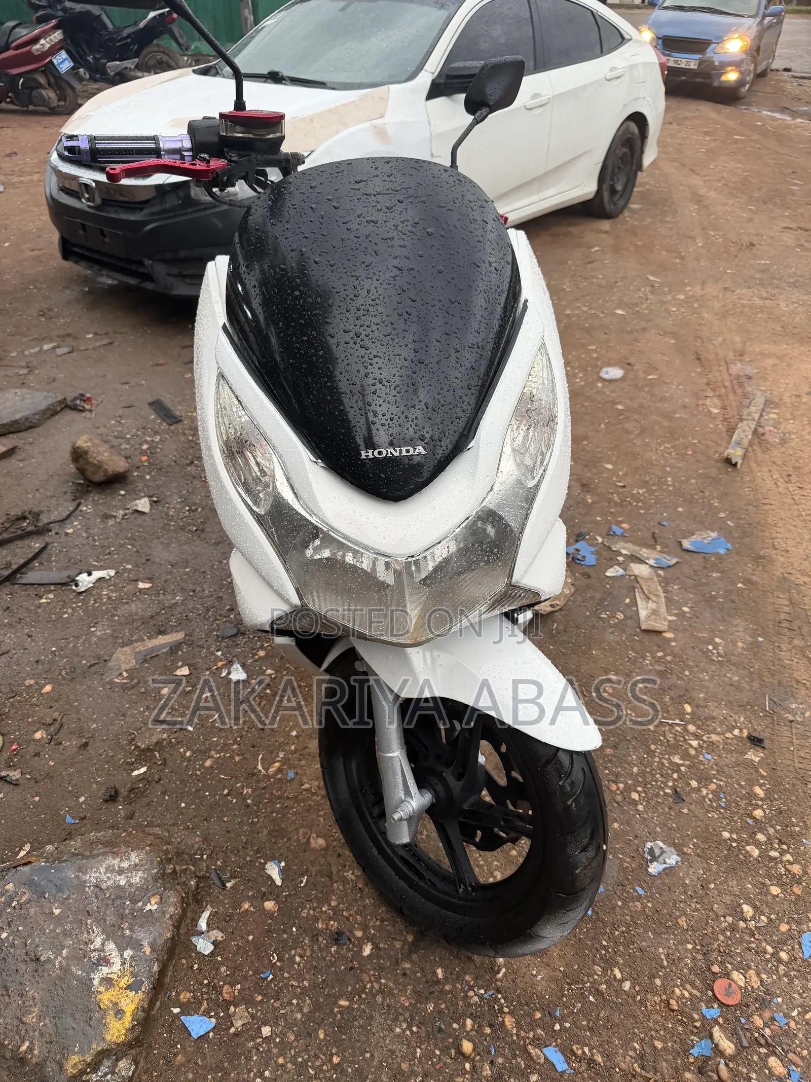 Honda Ignition 2024 White