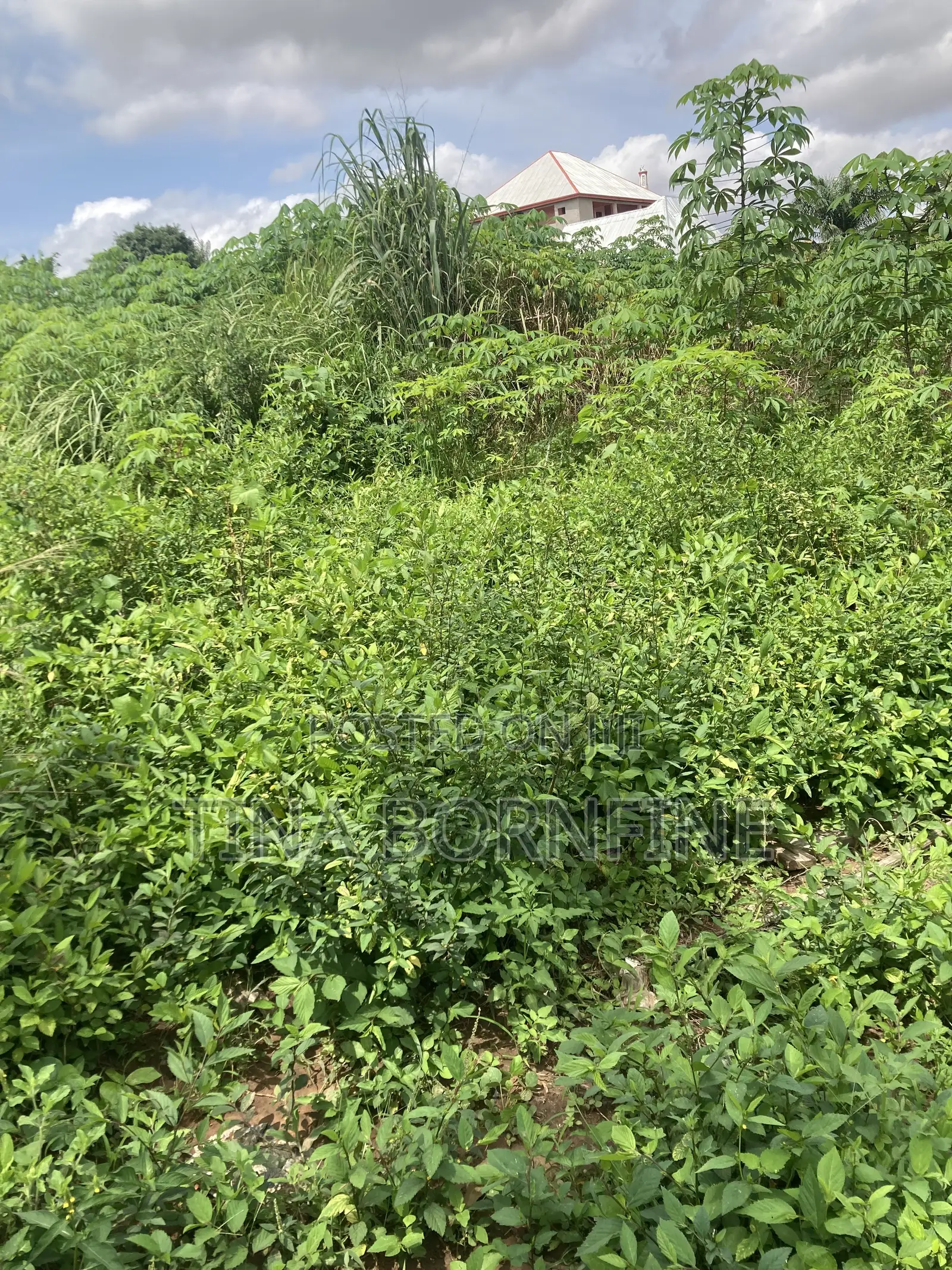 Half Plot of Land for Sale