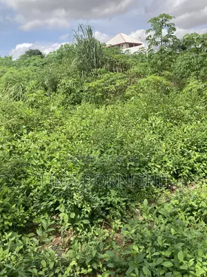 Half Plot of Land for Sale