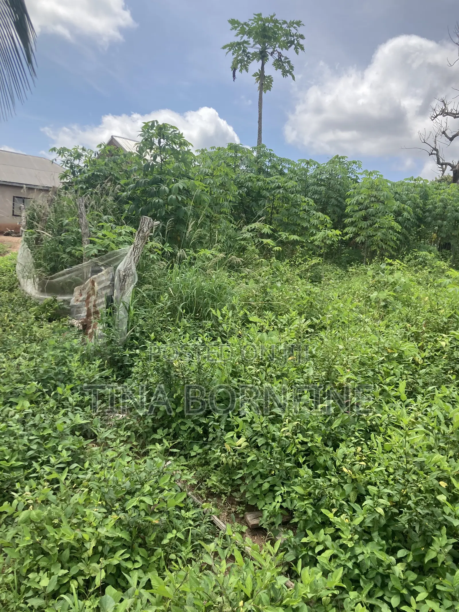 Half Plot of Land for Sale
