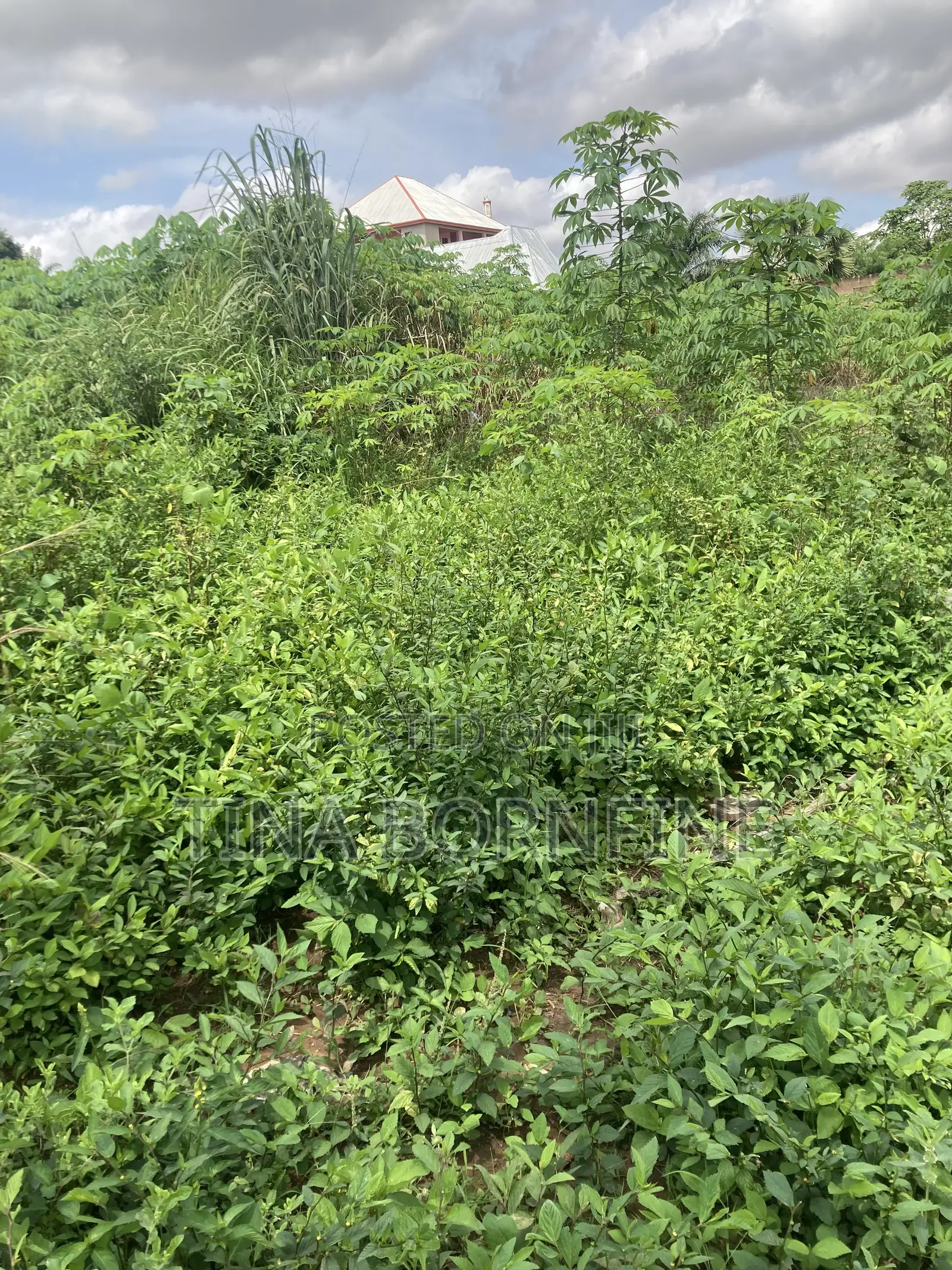 Half Plot of Land for Sale