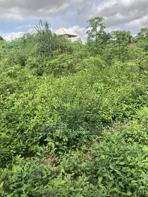 Half Plot of Land for Sale