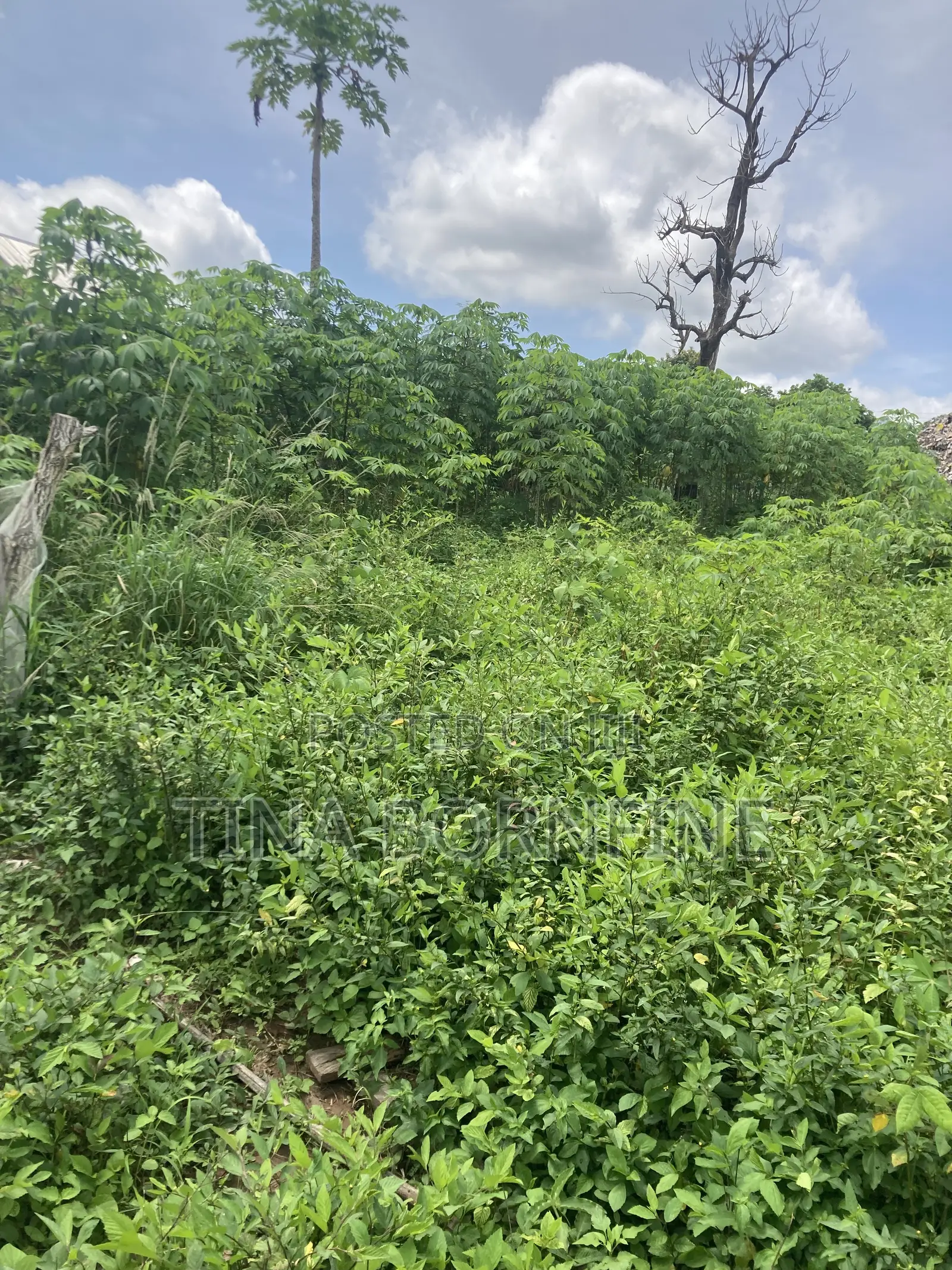 Half Plot of Land for Sale