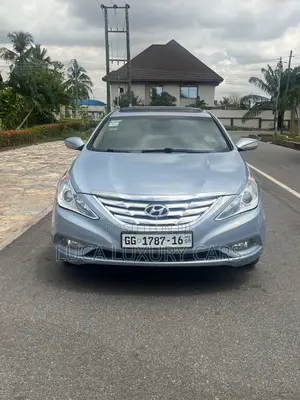 Hyundai Sonata 2011 Blue