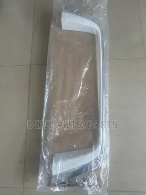 Land Cruiser Lc300 Number Plate Chrome