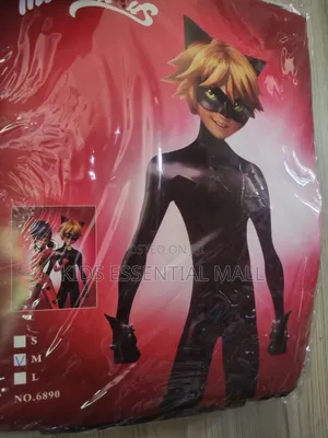 Cat Noir Of Miraculous Ladybug Cartoon Costume For Children