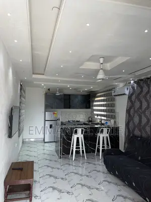 Fully Furnished Two Bedrooms Apartment (Ghc 500 Per Day)
