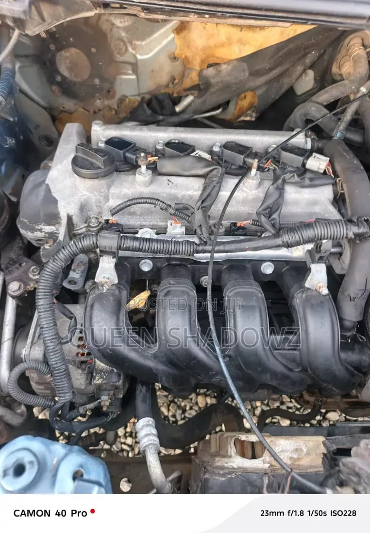 Toyota Vitz 2010 Gray